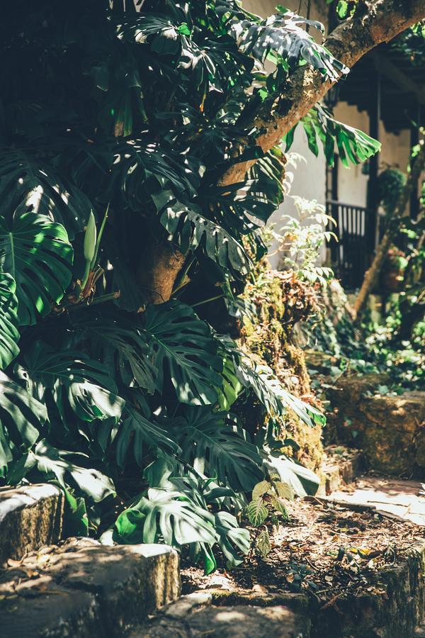 Hotel Hacienda Baza Tibana Zewnętrze zdjęcie